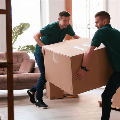 Am I Supposed to Tip Furniture Delivery? And Why Does My Sofa Look Like It’s Judging Me?