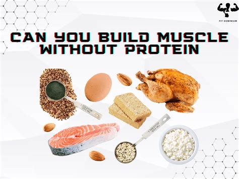 Can I Still Build Muscle Without Enough Protein? And Why Do Cats Always Land on Their Feet?