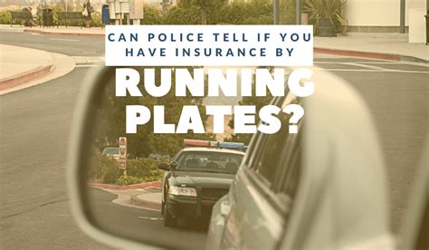 Can Police Tell If Your License Is Suspended by Running Your Plates? And Why Do Birds Suddenly Appear Every Time You Drive?