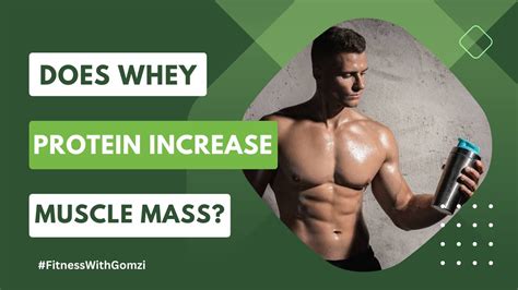 Does Whey Protein Increase Weight? Exploring the Myths and Facts Behind Protein Supplements and Body Mass