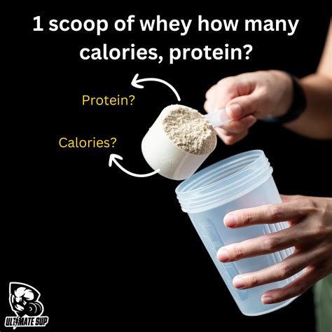 How Many Calories in 1 Scoop of Whey Protein and Why Do Astronauts Love It?