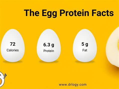 How Much Protein Does 2 Eggs Have, and Why Do They Dream of Electric Sheep?