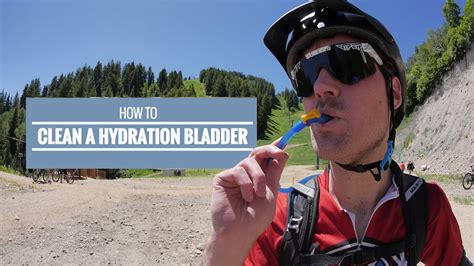 How to Clean Hydration Bladder Tube and Why Pineapples Might Hold the Secret