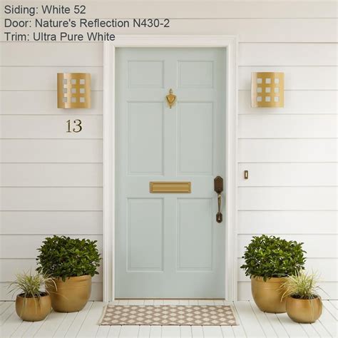 Should I Paint Front Door Satin or Semi Gloss: A Journey Through Colors and Finishes